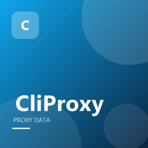 CliProxy 1GB Data